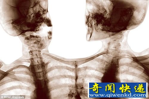 神秘关联性 人类与动物的杂交体