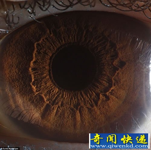 “心灵的窗户” 微距展示人眼虹膜不同寻常的细节