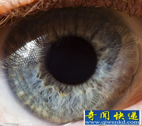 “心灵的窗户” 微距展示人眼虹膜不同寻常的细节