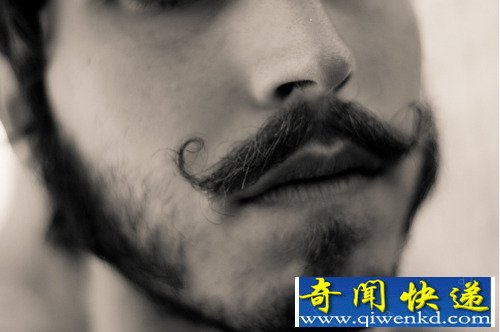 大部分的女性认为 拥有浓密胡须的男士最具有吸引力