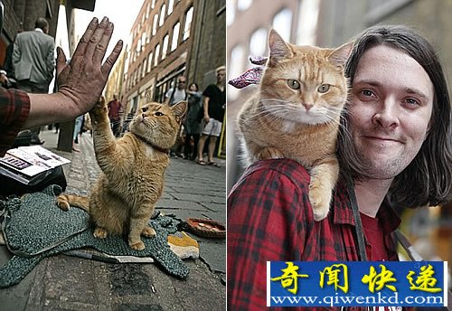“人猫情” 流浪猫改变吸毒艺人 终于成为炙手可热的作家