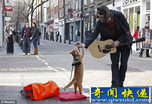 “人猫情” 流浪猫改变吸毒艺人 终于成为炙手可热的作家