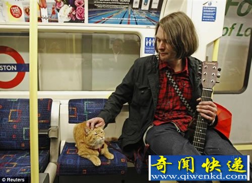 “人猫情” 流浪猫改变吸毒艺人 终于成为炙手可热的作家