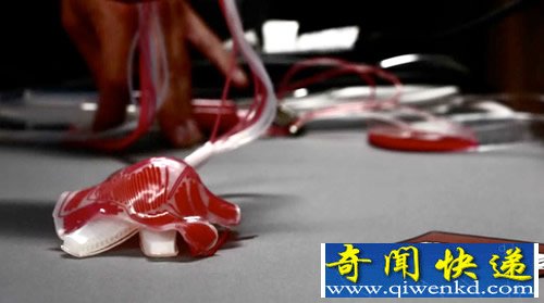 30秒内隐形 “变色龙”机器人 造价不到100美元