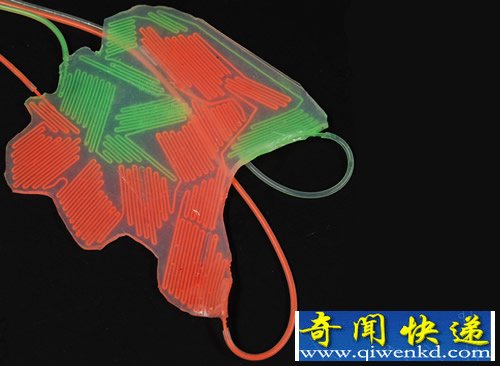 30秒内隐形 “变色龙”机器人 造价不到100美元
