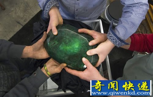 57500克拉 世界最大的祖母绿 价格也是相当的不菲