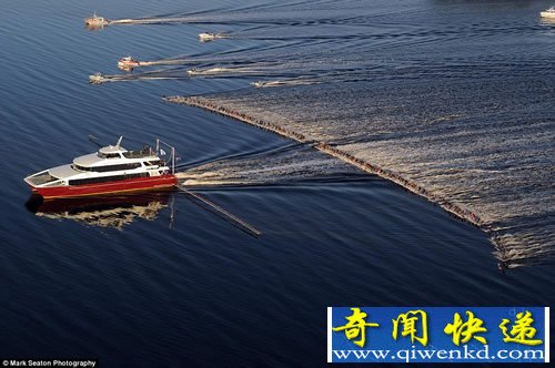 新世界纪录 145人集体滑水 滑水绳长达8公里