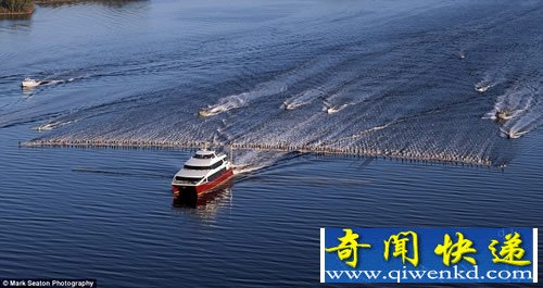 新世界纪录 145人集体滑水 滑水绳长达8公里