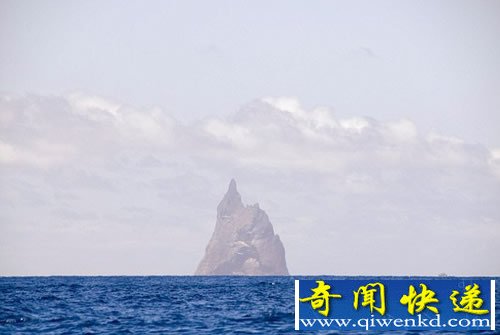 荒岛发现已灭绝的80年的神秘昆虫“树龙虾”