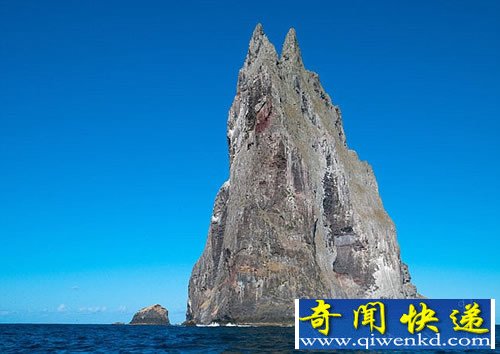 荒岛发现已灭绝的80年的神秘昆虫“树龙虾”