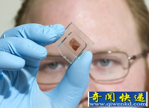 碳纳米管太阳能电池 未来的窗户会发电自家的“发电厂”