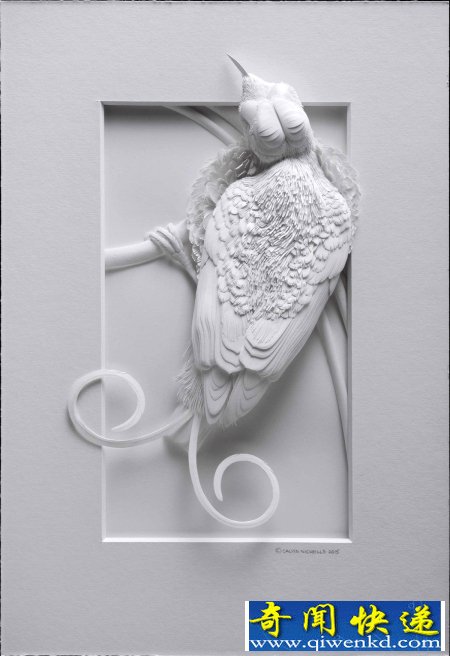 ͻƽƵ3Dֽ