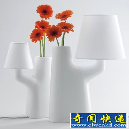 台灯二合一 即是花瓶又是台灯的独特创意