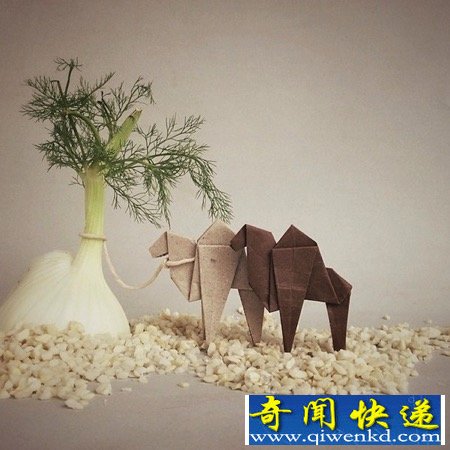 栩栩如生的折纸艺术 感受折纸的世界