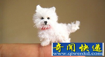 手工编织的迷你萌宠