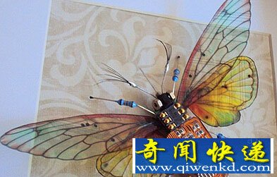 漂亮的“电子昆虫”