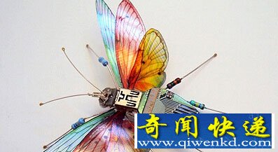漂亮的“电子昆虫”