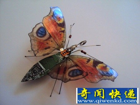 漂亮的“电子昆虫”