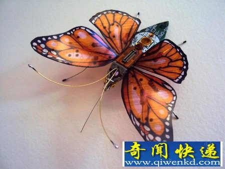 漂亮的“电子昆虫”
