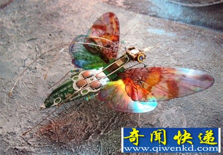 漂亮的“电子昆虫”