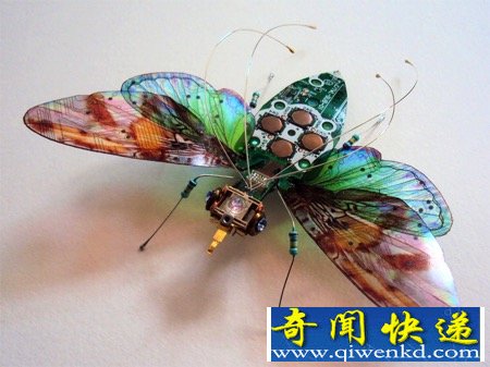 漂亮的“电子昆虫”
