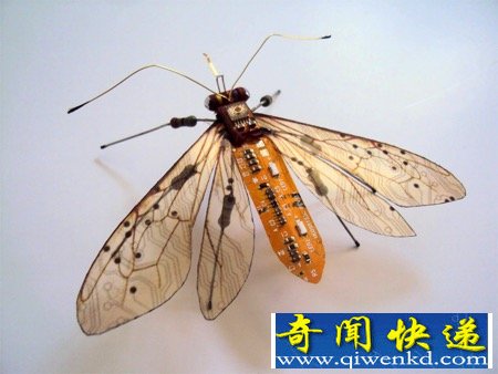 漂亮的“电子昆虫”