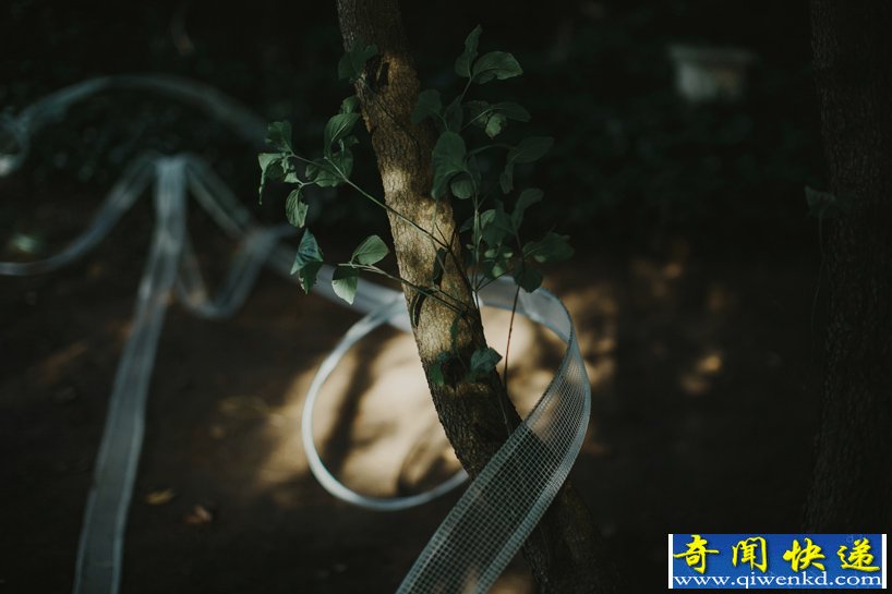 婚礼上美轮美奂的丝缎肖像
