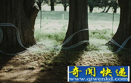 婚礼上美轮美奂的丝缎肖像