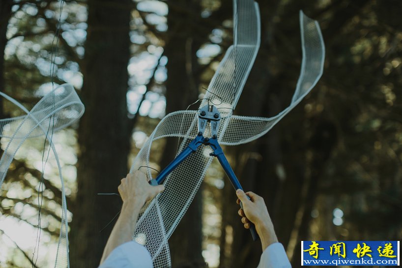 婚礼上美轮美奂的丝缎肖像