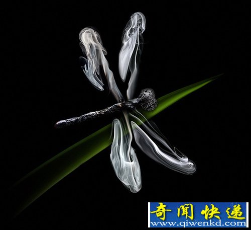 Flame Shapes 火柴最后的艺术 用火柴的火焰形状创作不同的图像