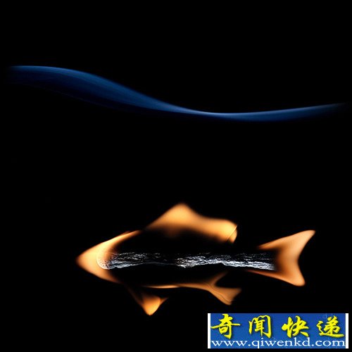 Flame Shapes 火柴最后的艺术 用火柴的火焰形状创作不同的图像