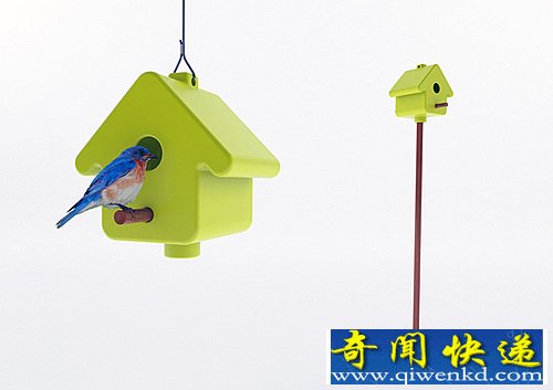 17种颜色的选择 Picto鸟舍树立保护小动物的观念