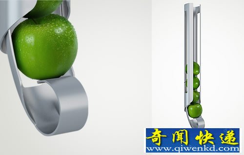 NEWTON 挂墙上的果盘 灵感来自牛顿的万有引力定律