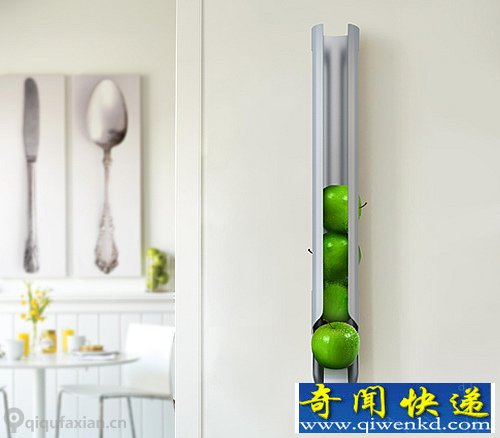 NEWTON 挂墙上的果盘 灵感来自牛顿的万有引力定律