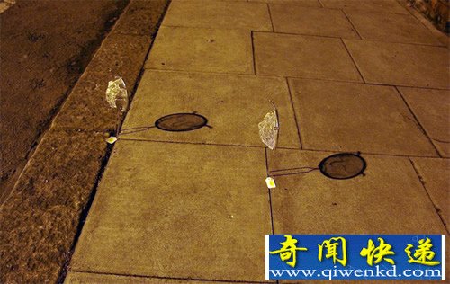 “网开一面” 有趣的漏网艺术 栩栩如生的“漏网人脸”
