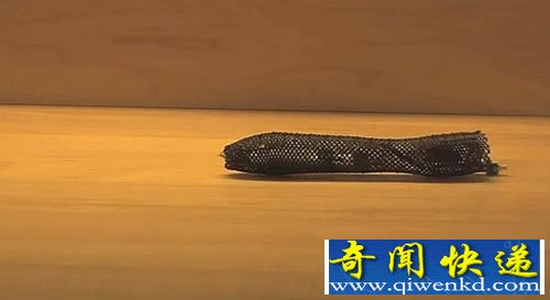 超级间谍 砸不烂的蠕虫机器人