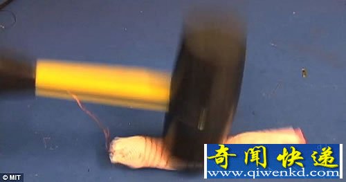 超级间谍 砸不烂的蠕虫机器人