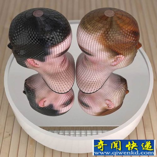 portrait 360 重新诠释肖像艺术概念 脸顺着头骨形状被扭曲