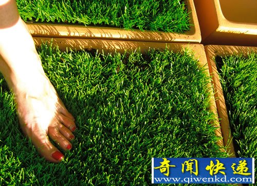 草砖 绿色你的阳台 方便用户随时随地的拆除和新建