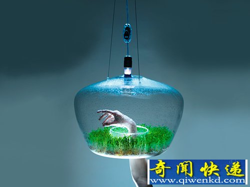 一个拥有双重功能的吊灯 种个花草 点个灯