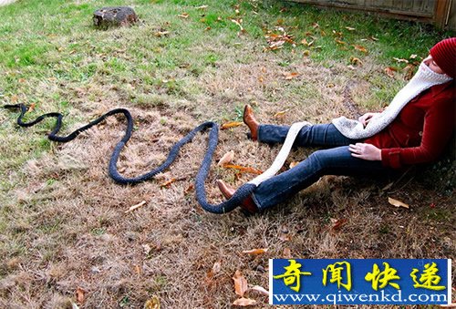 8.53米 超长的“编织”胡须 号称有史以来最温暖的围巾