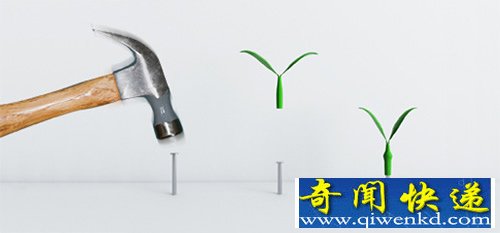 Leaf “发芽”的钉子