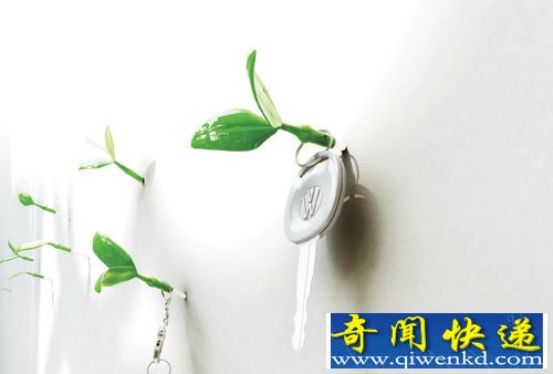 Leaf “发芽”的钉子