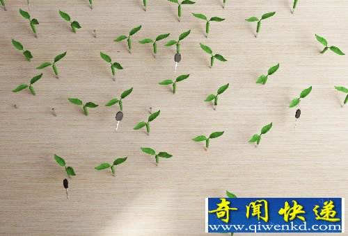 Leaf “发芽”的钉子