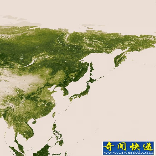 高分辨率“绿色的地球” 代表植被越繁盛
