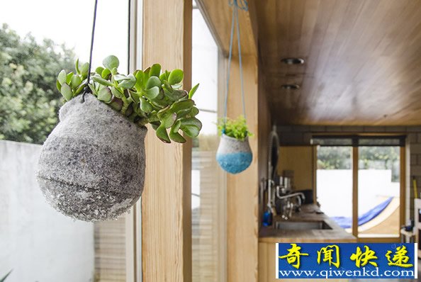 植物与花盆融为一体  用静态的容器承载鲜活物体
