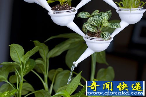 迷你种植系统 3D打印模块化盆栽