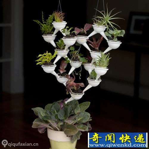 迷你种植系统 3D打印模块化盆栽