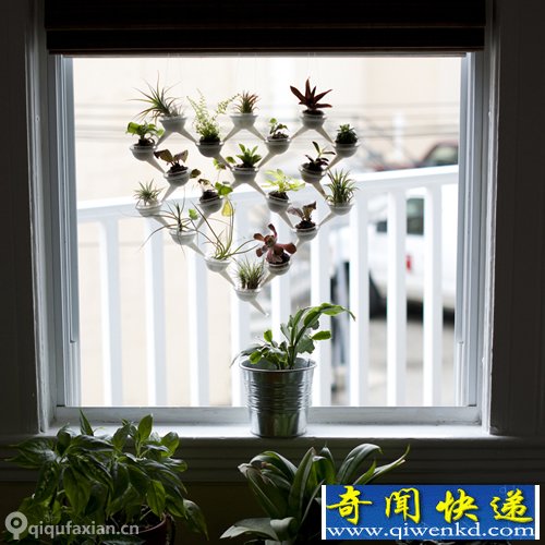 迷你种植系统 3D打印模块化盆栽