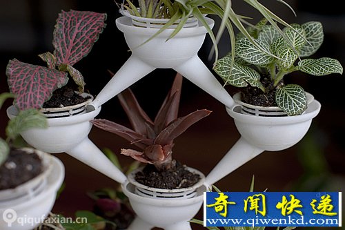 迷你种植系统 3D打印模块化盆栽